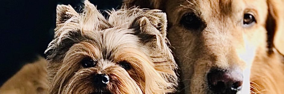 alejandrohm7's profile banner image