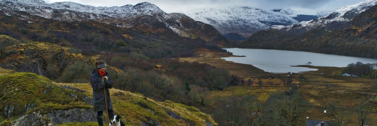 Snowdonia Shepherdess - Bugeiles Bach banner