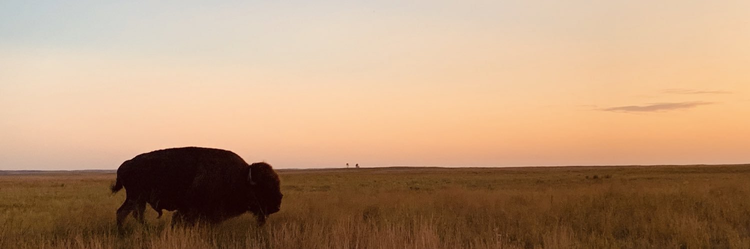 ThomasPenoti's profile banner image