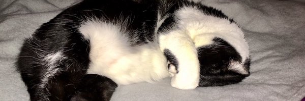 ijosborne Profile Banner