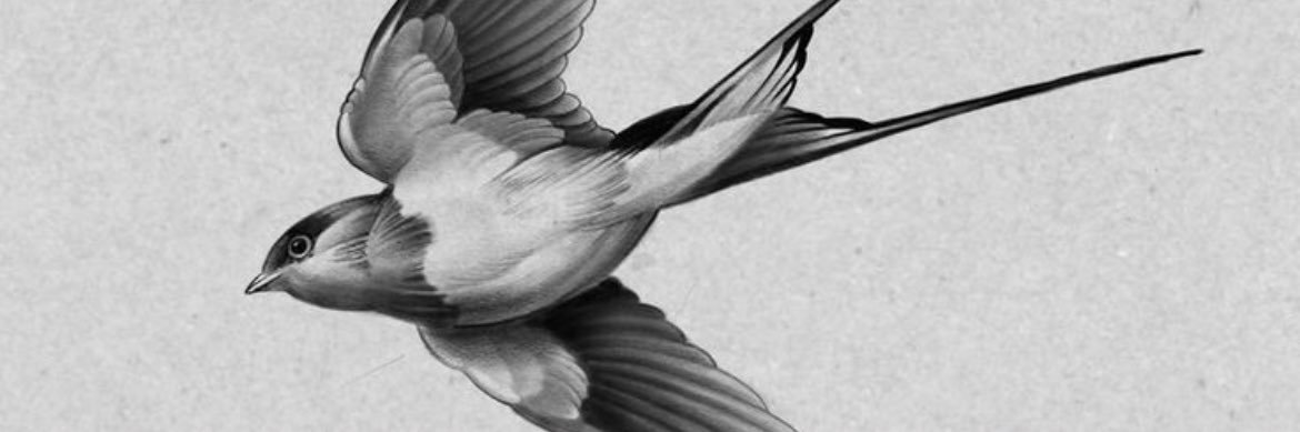 Chiabarney🇺🇦🇮🇱 banner