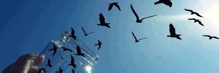 AlbaCaarrillo's profile banner image