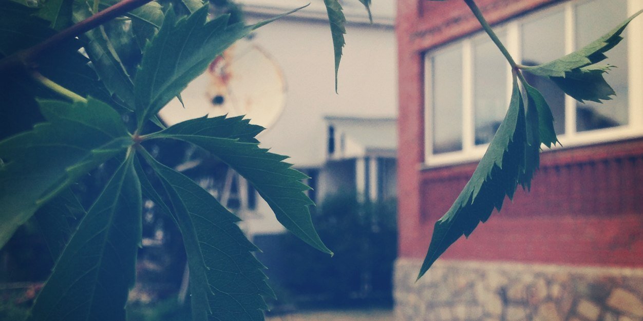 Плохотнюк Женя banner