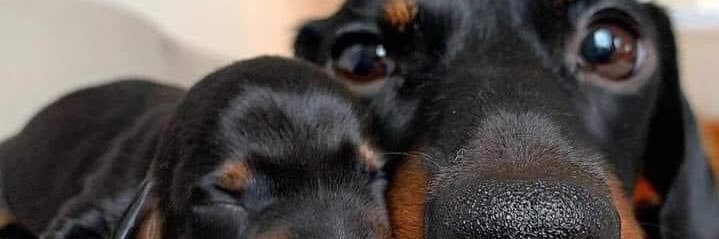 AdrianoFerreto's profile banner image