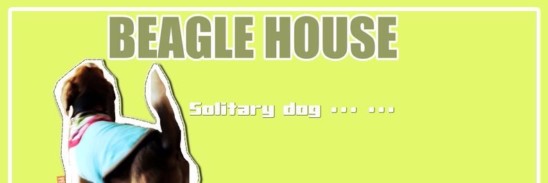 beagle_peach's profile banner image