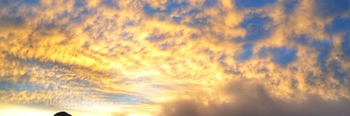 seranduque's profile banner image