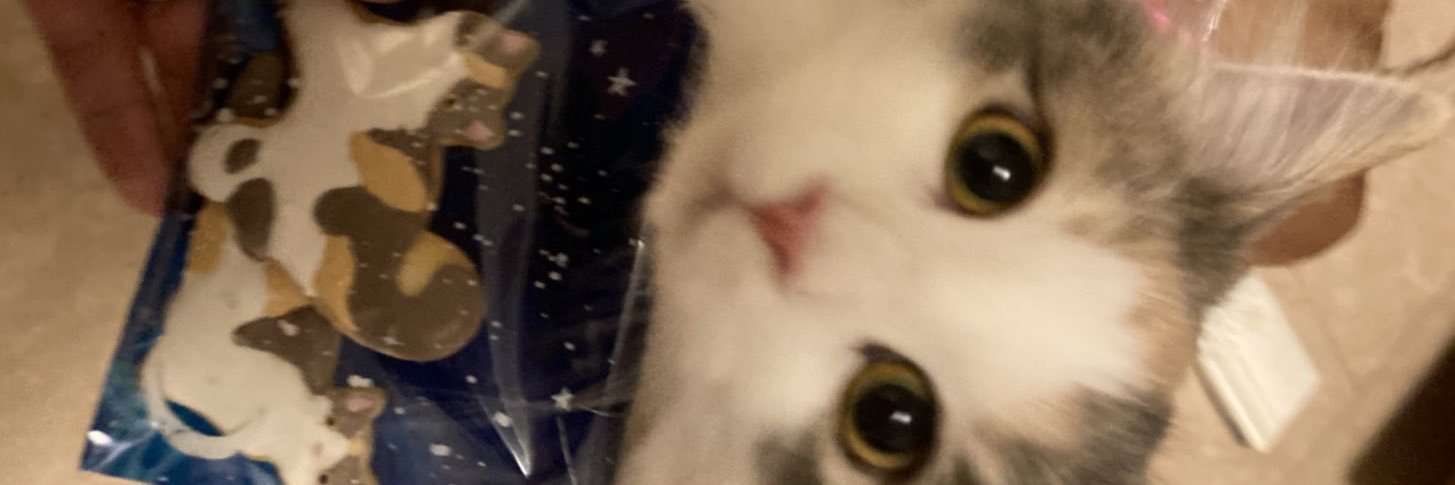 hijikigohan_'s profile banner image
