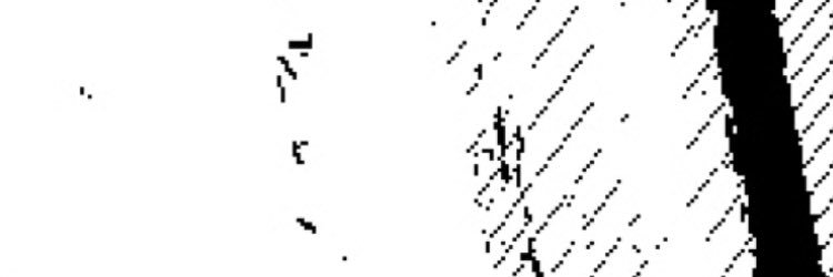 sukainakasu's profile banner image