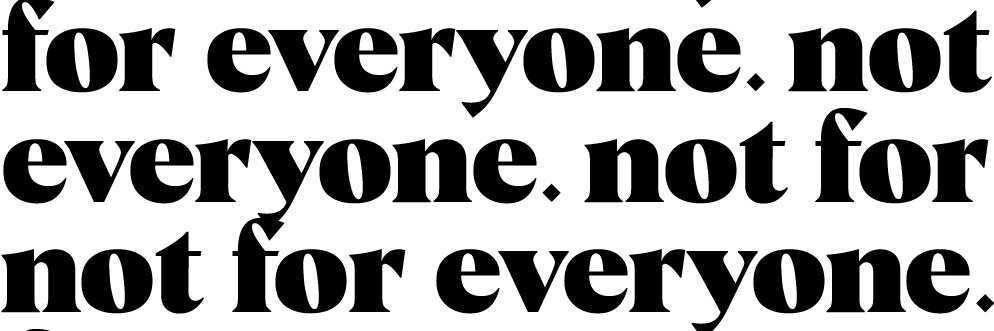 palmer // not for everyone banner