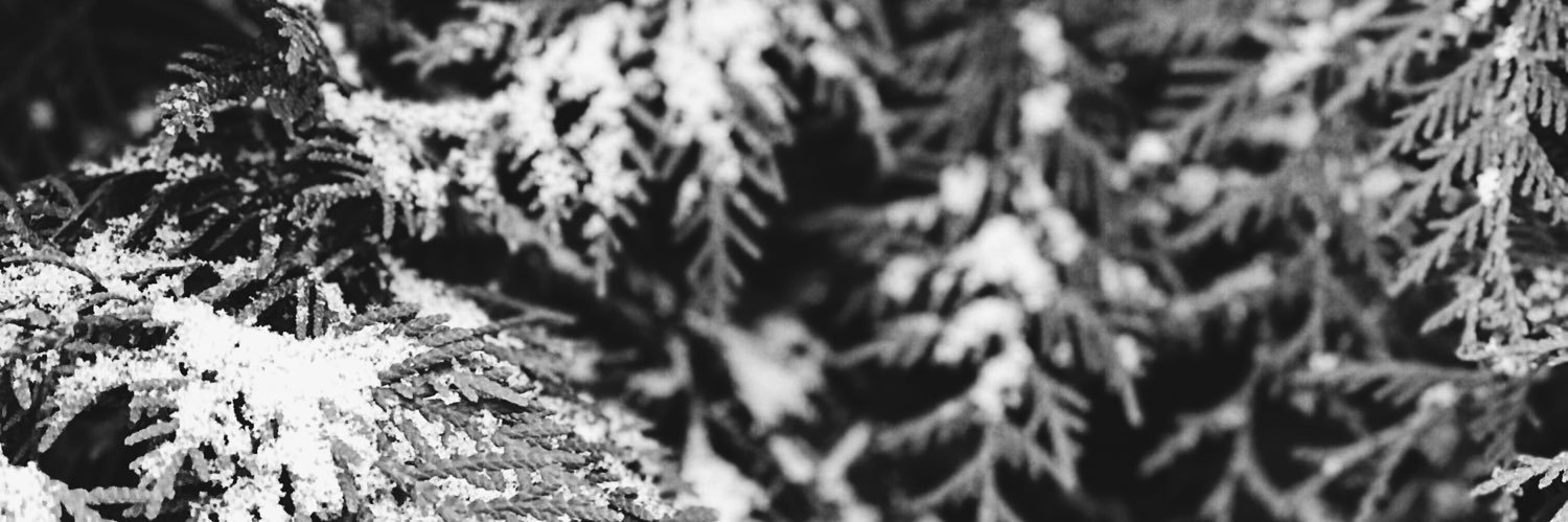 KaylaMargaret35's profile banner image