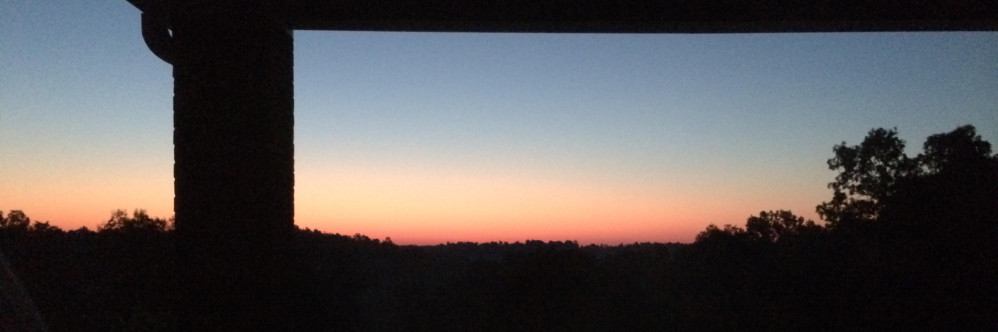 Kelli Schultz banner