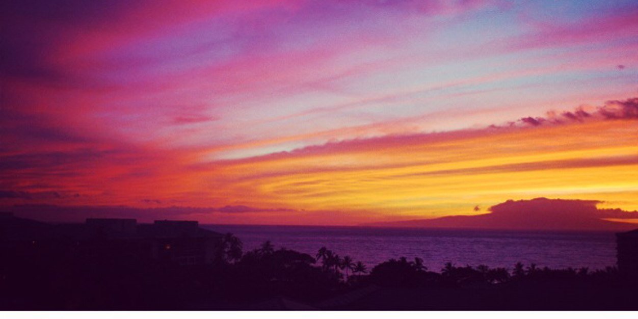 katewerner1's profile banner image