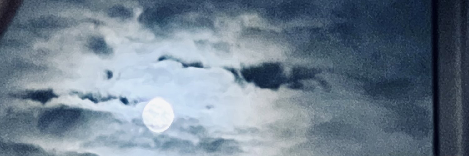 Leehmitchel's profile banner image