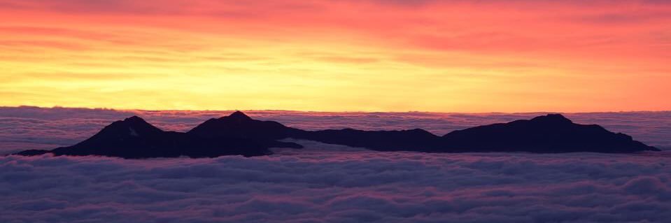疲れどっとスティングレー banner