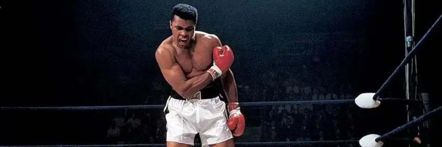 Rope-a-Dope banner