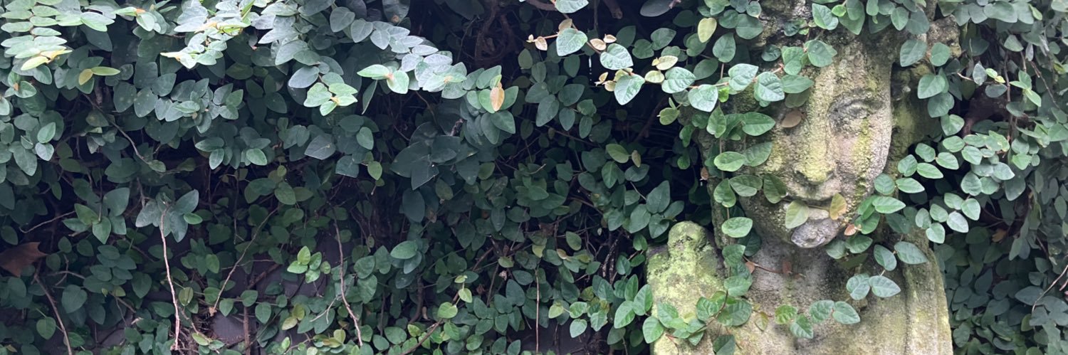 catdarrow's profile banner image
