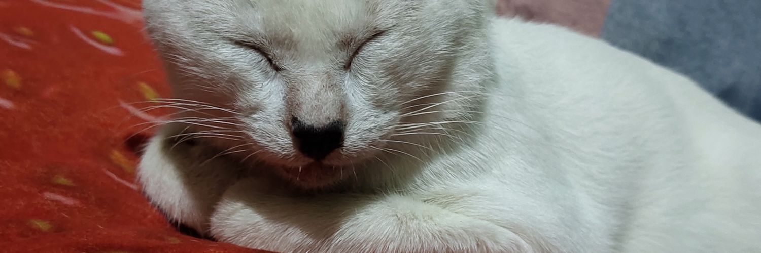 sherigayle's profile banner image
