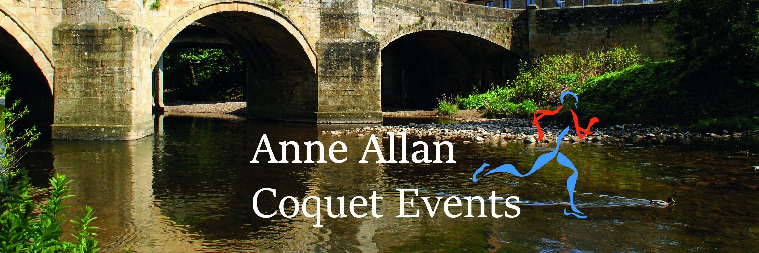 Anne Allan Events banner