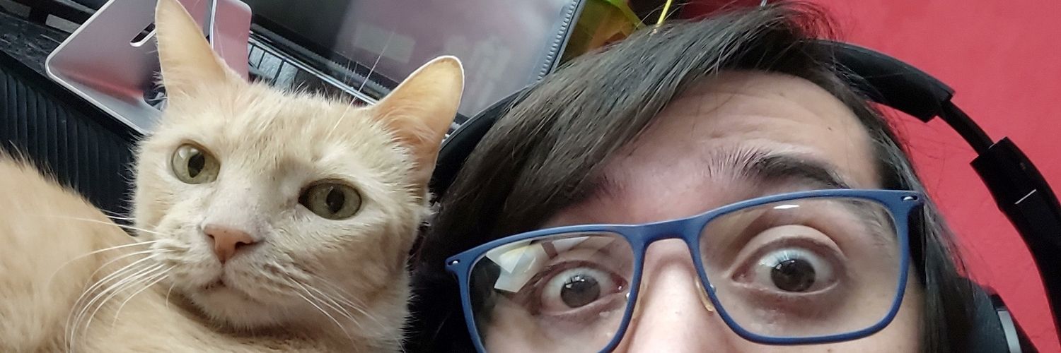 FalKun23's profile banner image