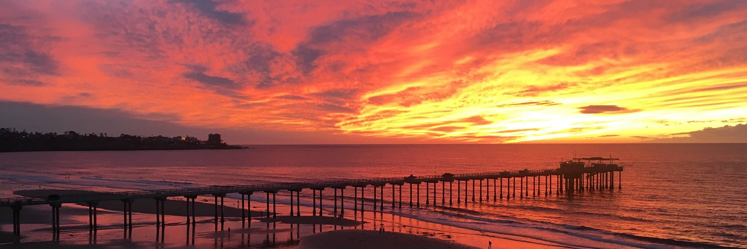 Dr. Kelli Mullane banner