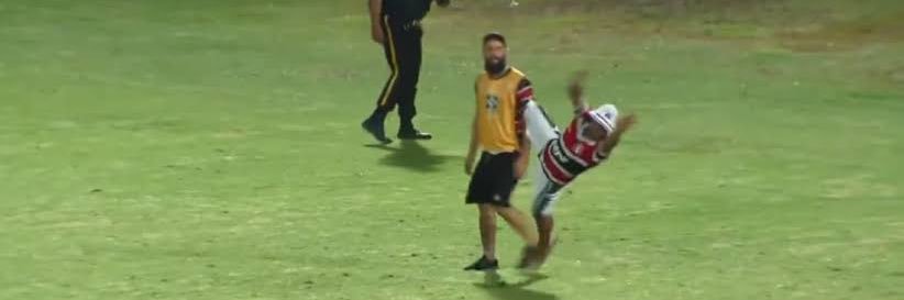 Alee Tricolor banner