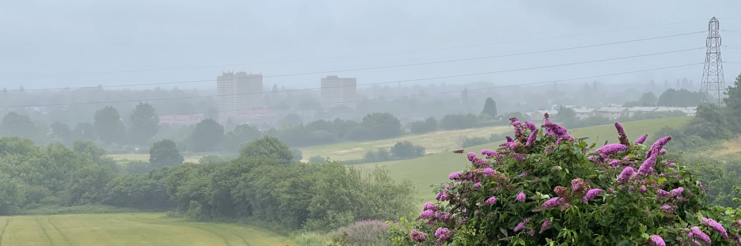 Harry ◣ ◢ banner