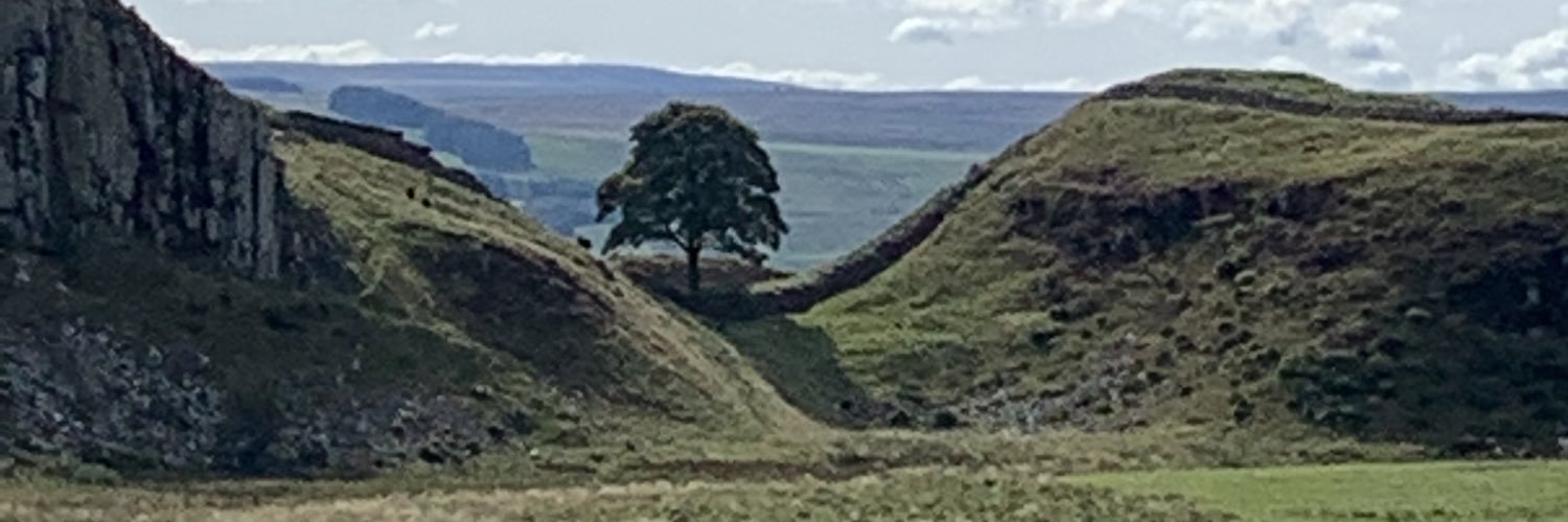 Alison Nicholson banner