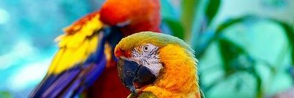 phillimonjones's profile banner image
