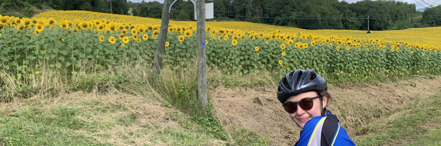 damdeca's profile banner image