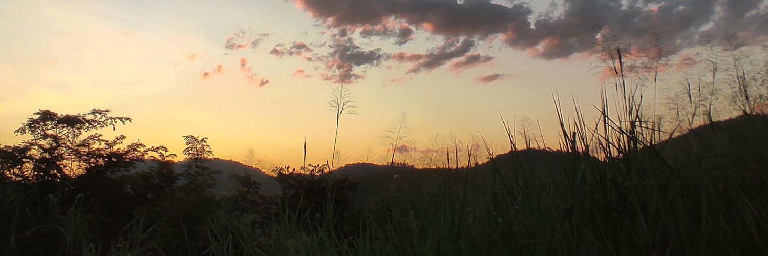 AryeliMiranda's profile banner image