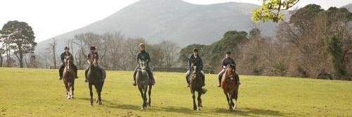Brennanstown's profile banner image