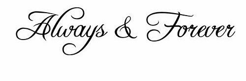 JoyceWillems2's profile banner image