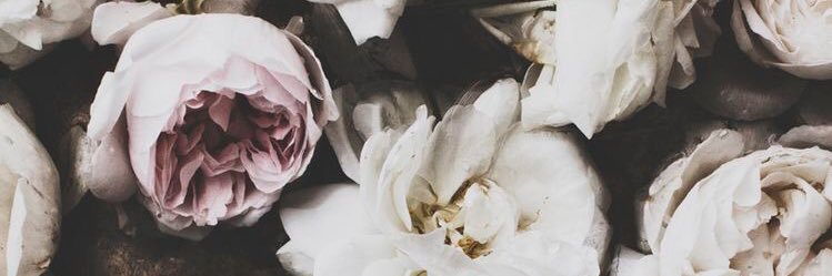 aylataryn's profile banner image