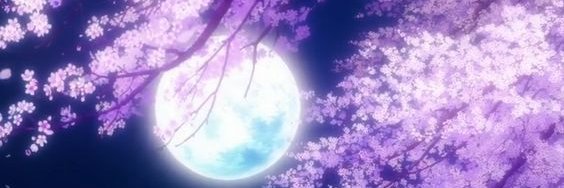 Veronaviolet620's profile banner image
