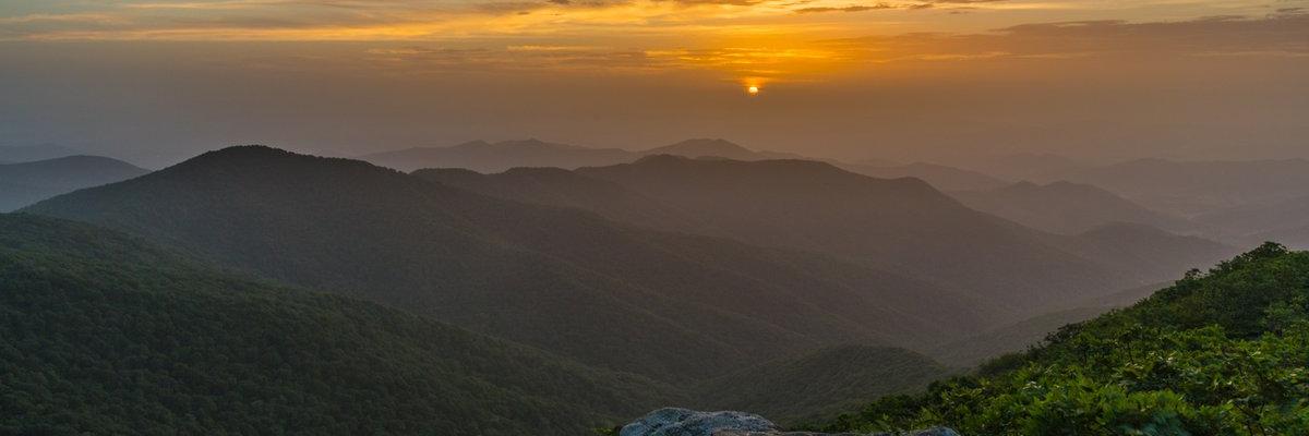 Dayglo Pharaoh _____DR POLICE STATE USA banner