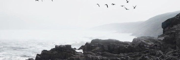 ّ banner