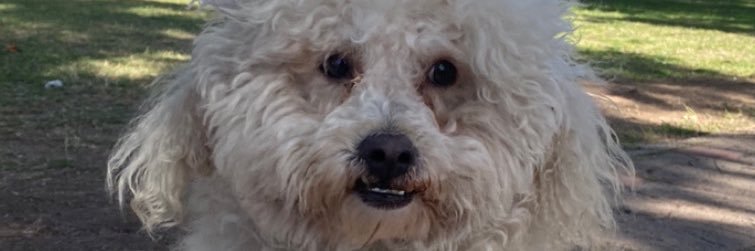 mbp2mil1's profile banner image