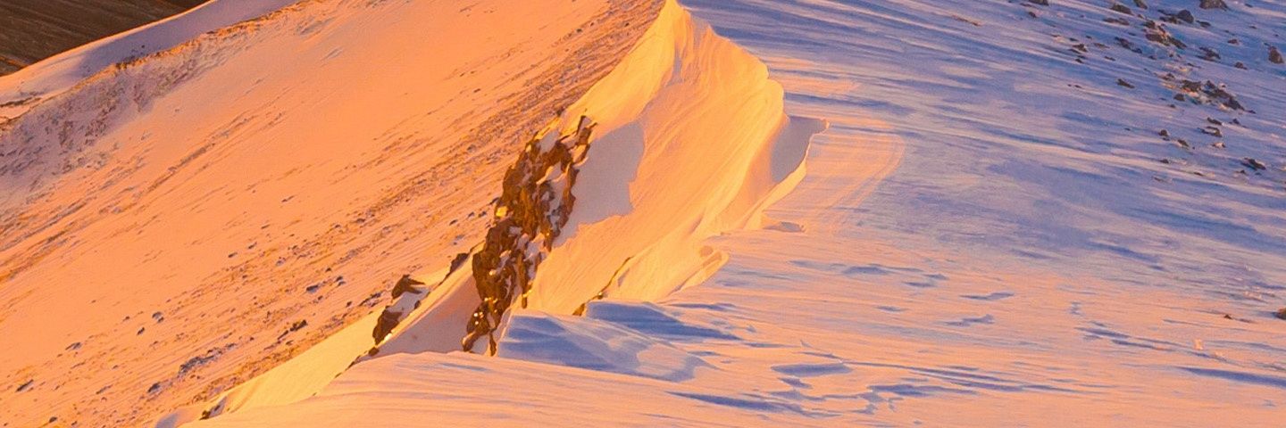 Libre para elegir. banner