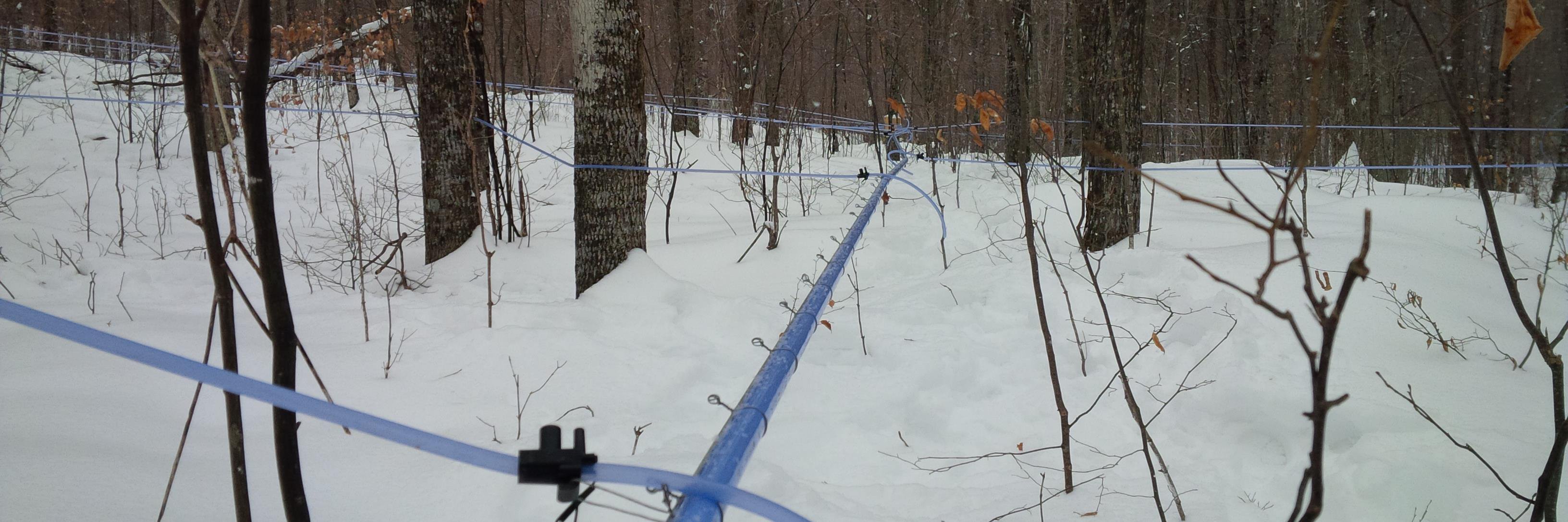 Ennis Maple Products banner