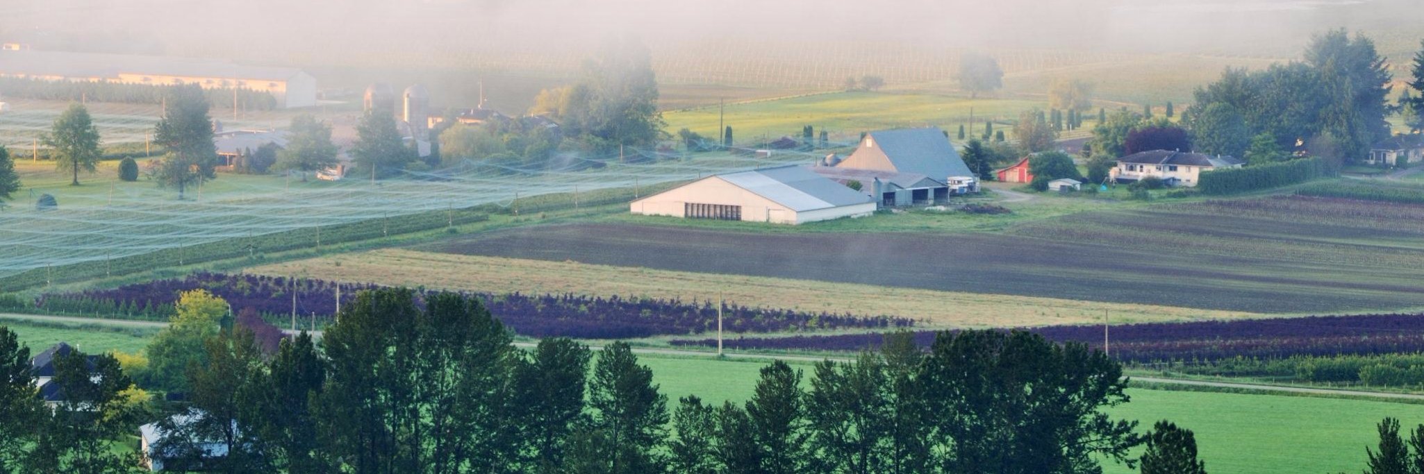 Int.Sust.FoodSystems banner