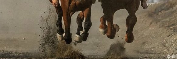 hamood264's profile banner image