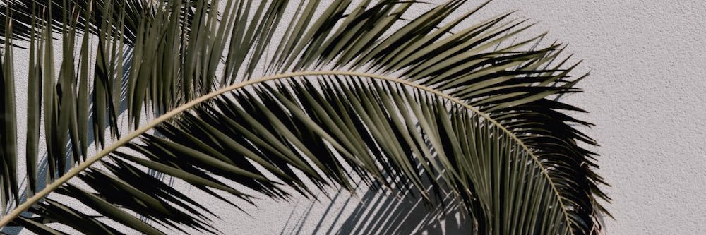 jakeward0's profile banner image