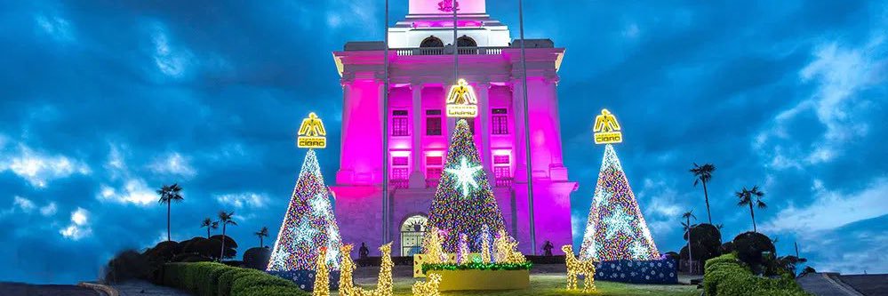 yani 🧜🏼‍♀️ banner