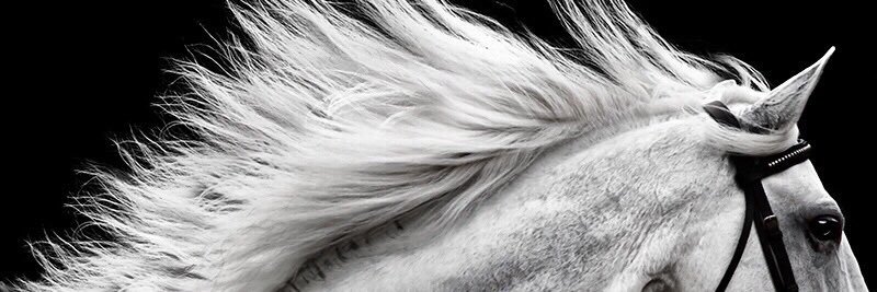 iiimozi's profile banner image