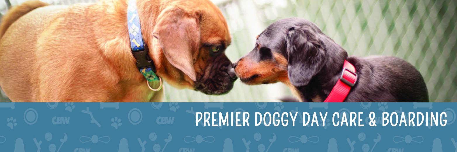 CampBowWow Henderson banner