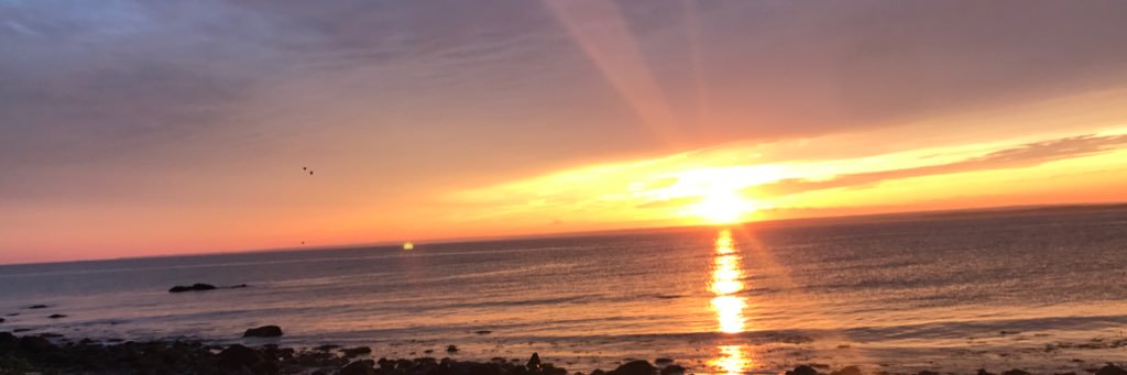 daze_145's profile banner image