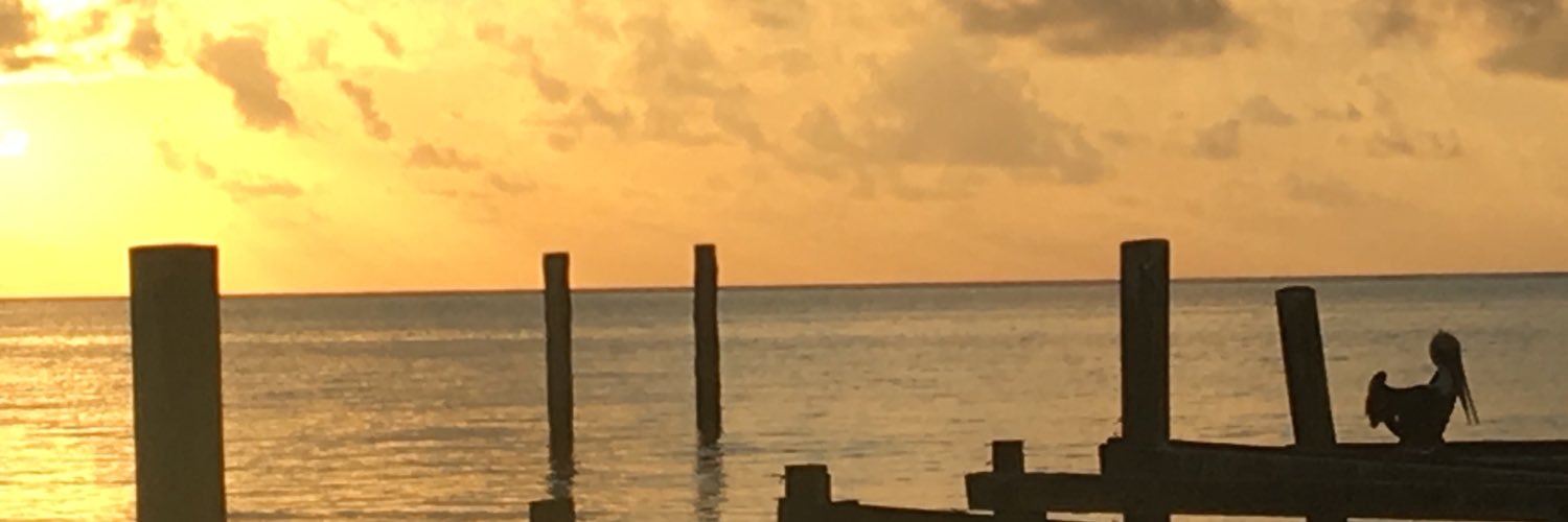EM_Barr13's profile banner image