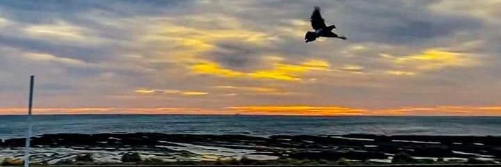 Carrizo_06's profile banner image