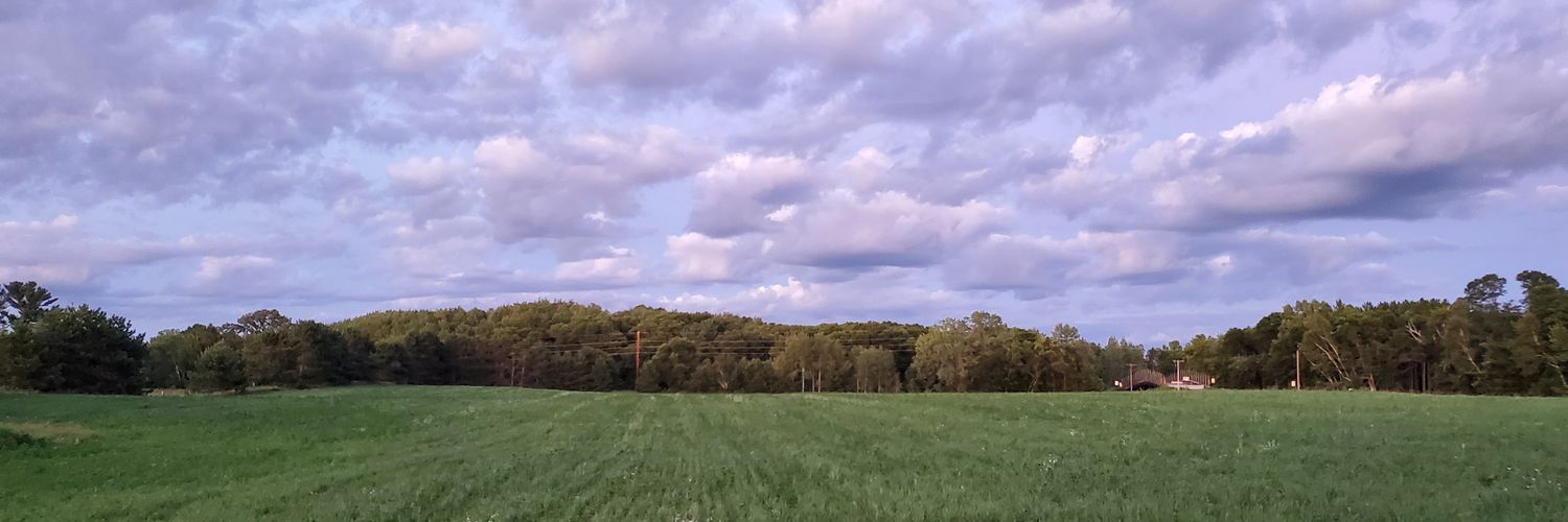 RobinMaslow's profile banner image