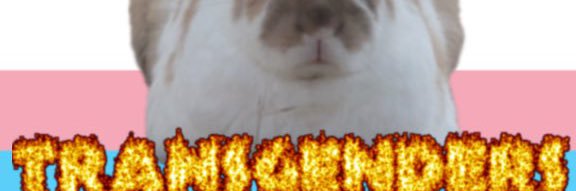 cthreee_'s profile banner image